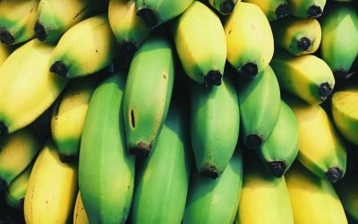 Comment conserver des bananes plus longtemps ?
